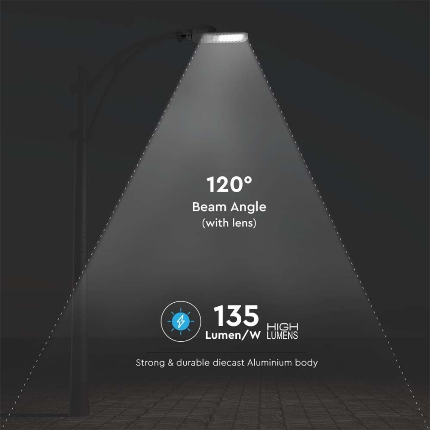 Candeeiro público LED SAMSUNG CHIP LED/50W/230V 6500K cinzento