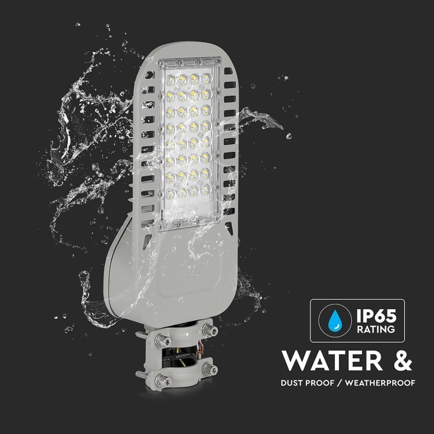 Candeeiro público LED SAMSUNG CHIP LED/50W/230V 6500K cinzento
