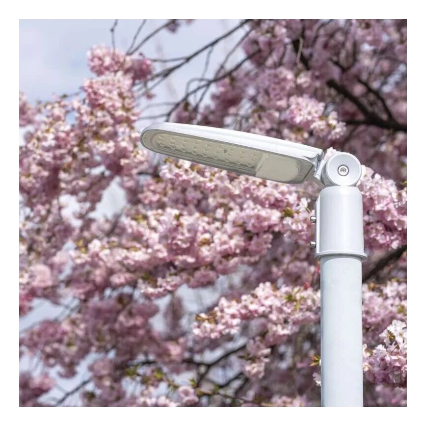 Candeeiro público LED SOLIS LED/30W/230V 3000K IP65