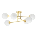 Candeeiro suspenso 6xE27/35W/230V diâmetro 80 cm dourado