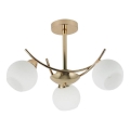 Candeeiro suspenso AMOS 3xE27/40W/230V dourado