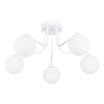 Candeeiro suspenso ASTRAL 5xG9/8W/230V branco