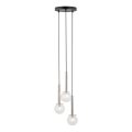 Candeeiro suspenso DAISY 3xG9/12W/230V diâmetro 27 cm cromado brilhante/preto/transparente