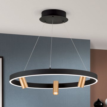 Candeeiro suspenso LED com regulação BERLIN LED/50W/230V preto/dourado