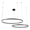 Candeeiro suspenso LED com regulação LED/100W/230V 3000-6500K + comando