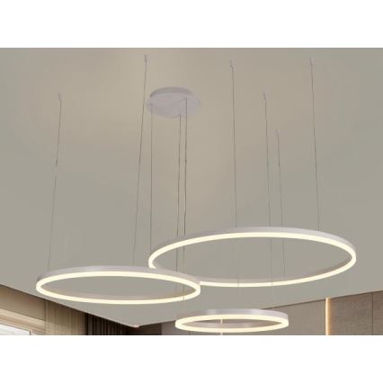 Candeeiro suspenso LED com regulação LED/125W/230V 3000-6500K + comando