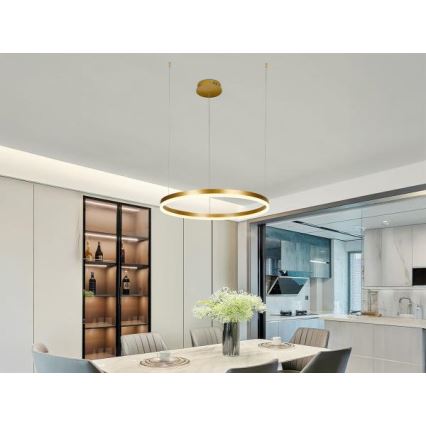 Candeeiro suspenso LED com regulação LED/42W/230V 3000-6500K + comando