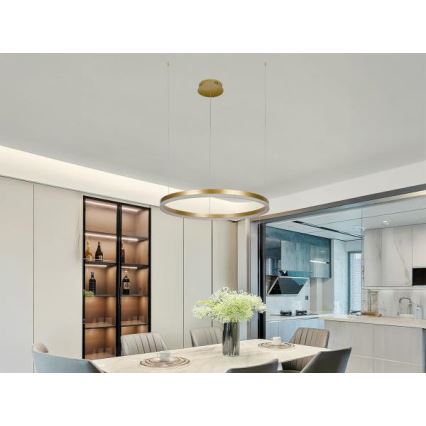 Candeeiro suspenso LED com regulação LED/42W/230V 3000-6500K + comando