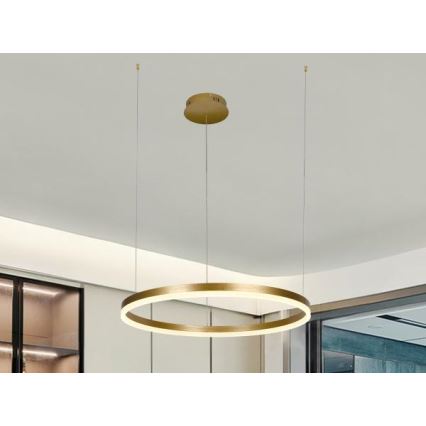 Candeeiro suspenso LED com regulação LED/42W/230V 3000-6500K + comando