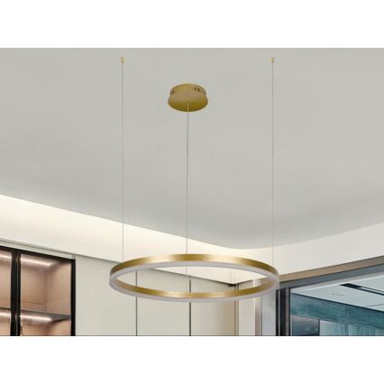 Candeeiro suspenso LED com regulação LED/42W/230V 3000-6500K + comando