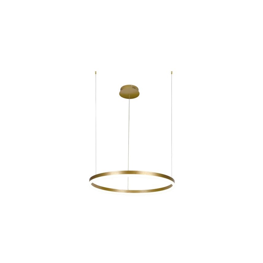 Candeeiro suspenso LED com regulação LED/42W/230V 3000-6500K + comando