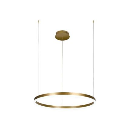 Candeeiro suspenso LED com regulação LED/42W/230V 3000-6500K + comando