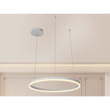 Candeeiro suspenso LED com regulação LED/42W/230V 3000-6500K + comando