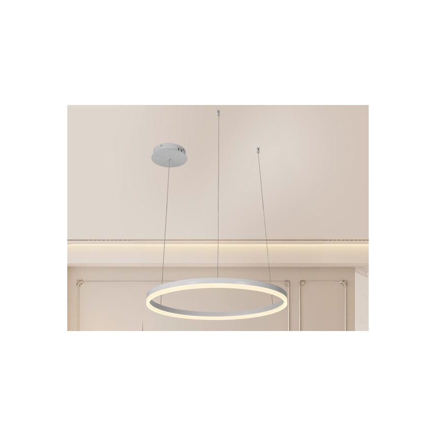 Candeeiro suspenso LED com regulação LED/42W/230V 3000-6500K + comando