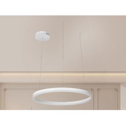 Candeeiro suspenso LED com regulação LED/42W/230V 3000-6500K + comando