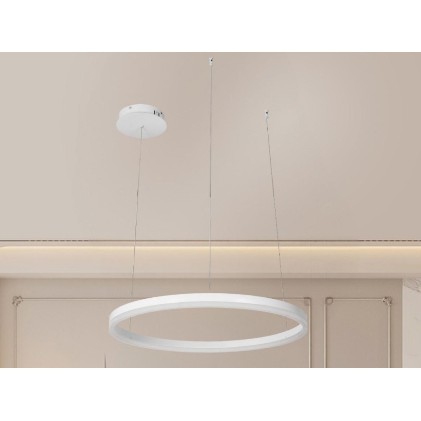 Candeeiro suspenso LED com regulação LED/42W/230V 3000-6500K + comando