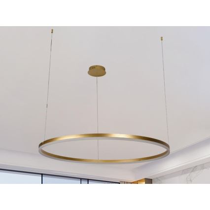 Candeeiro suspenso LED com regulação LED/55W/230V 3000-6500K + comando