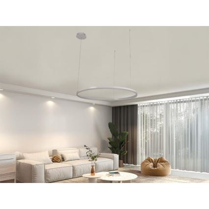 Candeeiro suspenso LED com regulação LED/55W/230V 3000-6500K + comando