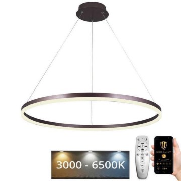 Candeeiro suspenso LED com regulação LED/55W/230V 3000-6500K diâmetro 80 cm + comando