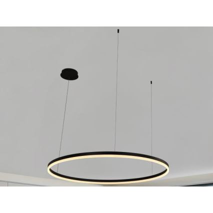 Candeeiro suspenso LED com regulação LED/72W/230V 3000-6500K + comando