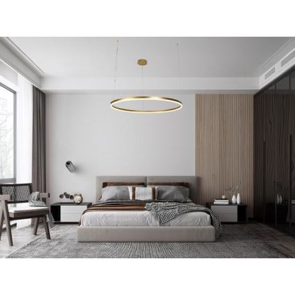 Candeeiro suspenso LED com regulação LED/72W/230V 3000-6500K + comando