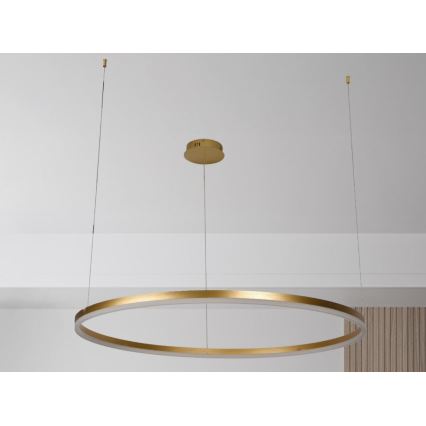 Candeeiro suspenso LED com regulação LED/72W/230V 3000-6500K + comando