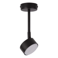 Candeeiro suspenso NEMO 1xGX53/12W/230V 24 cm preto