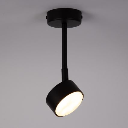 Candeeiro suspenso NEMO 1xGX53/12W/230V 24 cm preto