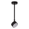 Candeeiro suspenso NEMO 1xGX53/12W/230V 35 cm preto