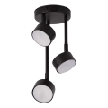 Candeeiro suspenso NEMO 3xGX53/12W/230V preto