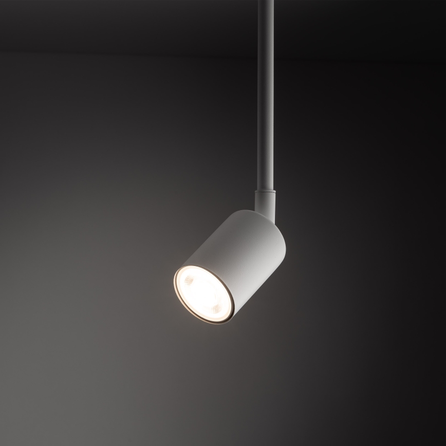 Candeeiro suspenso para sistema de carris monofásico TOP 1xGU10/10W/230V branco