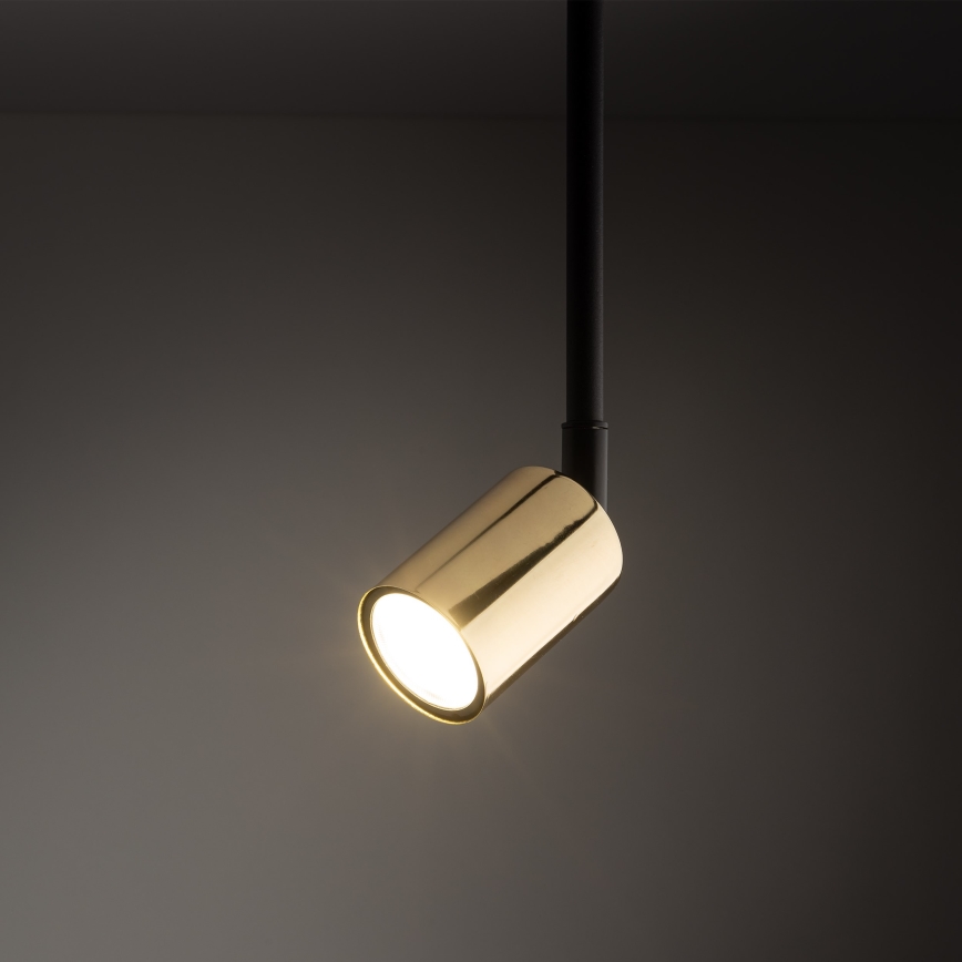 Candeeiro suspenso para sistema de carris monofásico TOP 1xGU10/10W/230V dourado/preto