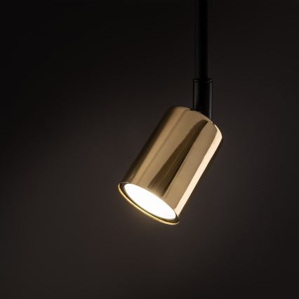Candeeiro suspenso para sistema de carris monofásico TOP 1xGU10/10W/230V dourado/preto
