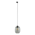 Candeeiro suspenso para sistema de carril trifásico ELIO 1xE27/15W/230V preto/fumado preto