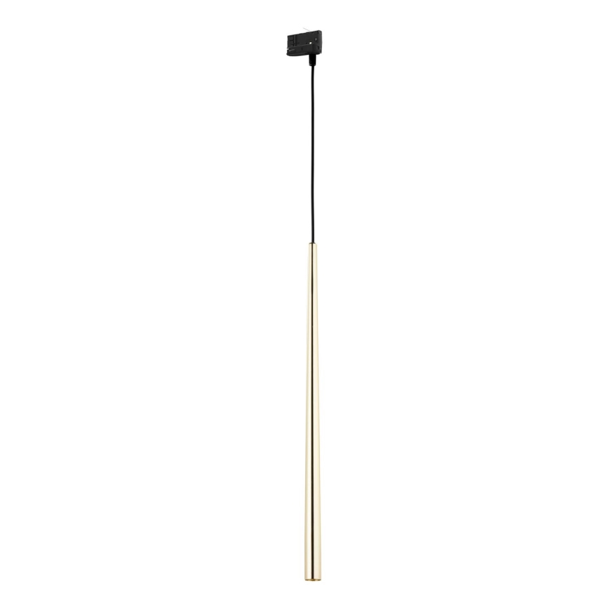 Candeeiro suspenso para sistema de carril trifásico PIANO 1xG9/8W/230V dourado/preto