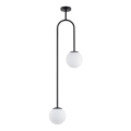 Candeeiro suspenso VECTOR 2xE14/10W/230V preto