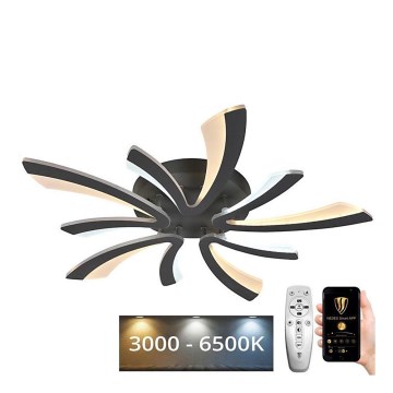 Candelabro integrado LED com regulação LED/55W/230V 3000-6500K + controlo remoto