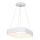 Candelabro num fio LED ASTRO 1xLED/24W/230V