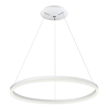 Candelabro num fio LED DONA 800 LED/62W/230V