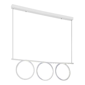 Candelabro num fio LED LOOP 3xLED/20W/230V branco