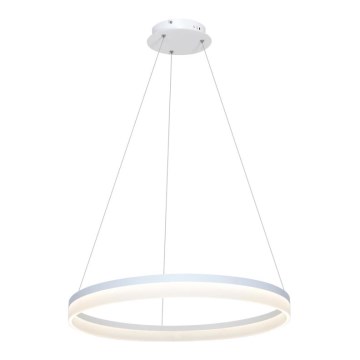 Candelabro num fio LED RING LED/36W/230V