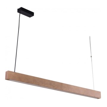 Candelabro num fio LED TEO 2xLED/28,5W/230V