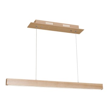 Candelabro num fio LED TIMBER LED/18W/230V