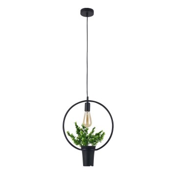 Candelabro num fio SOREN 1xE27/10W/230V
