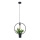 Candelabro num fio SOREN 1xE27/10W/230V