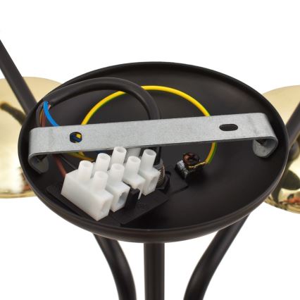 Candelabro pendente CARINA 5xE14/40W/230V