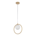 Candelabro suspenso AQUA 1xG9/12W/230V dourada