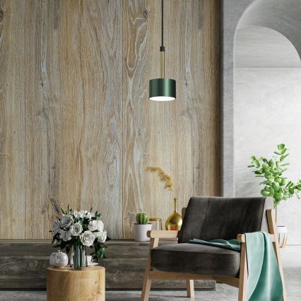 Candelabro suspenso ARENA 1xGX53/11W/230V verde/dourado