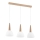 Candelabro suspenso BERA 3xE27/60W/230V