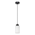 Candelabro suspenso BOSCO 1xE27/60W/230V - certificado por FSC